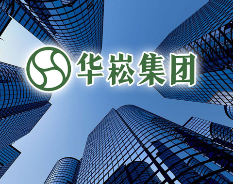 廣西華崧集團(tuán)網(wǎng)站品牌設(shè)計(jì)